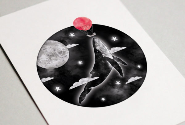 Illustrations Collection