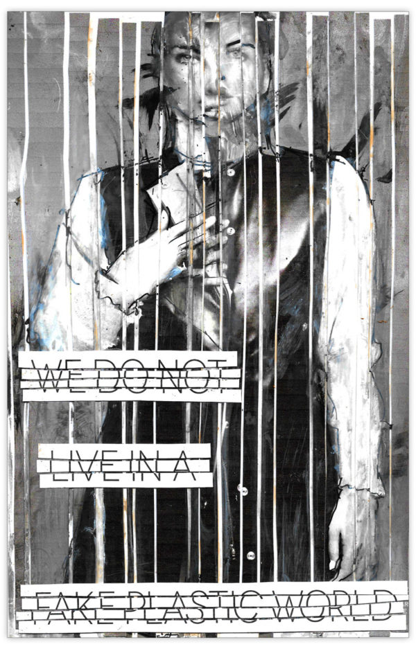 We do Not Live in a Fake Plastic World