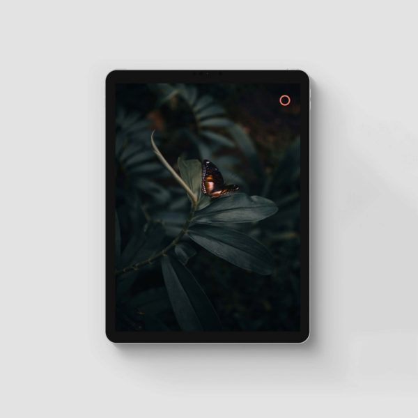 Why doing nothing is underrated