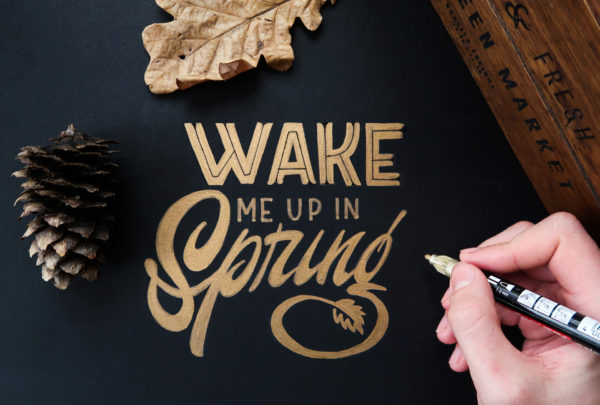 Handlettered Logos and Phrases