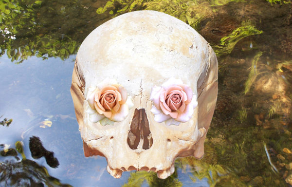 THE FLOWERED SKULL