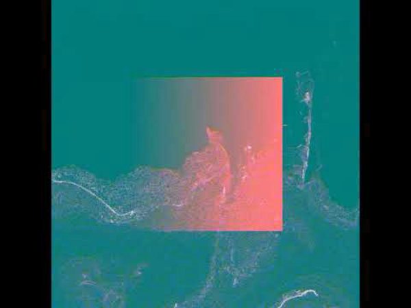 Moog Fluid